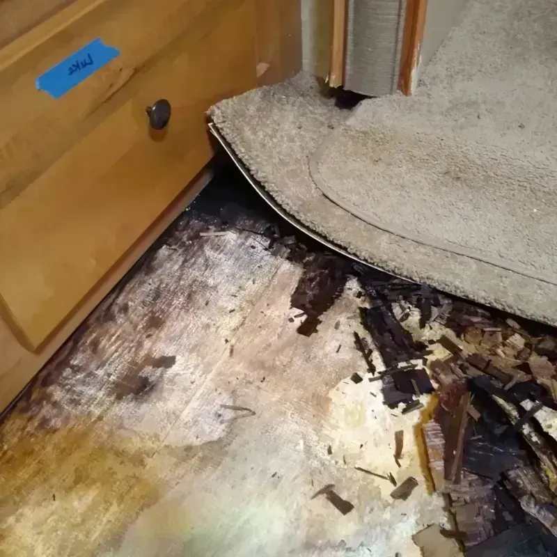 Best Wood Floor Water Damage Service in Dillon, SC